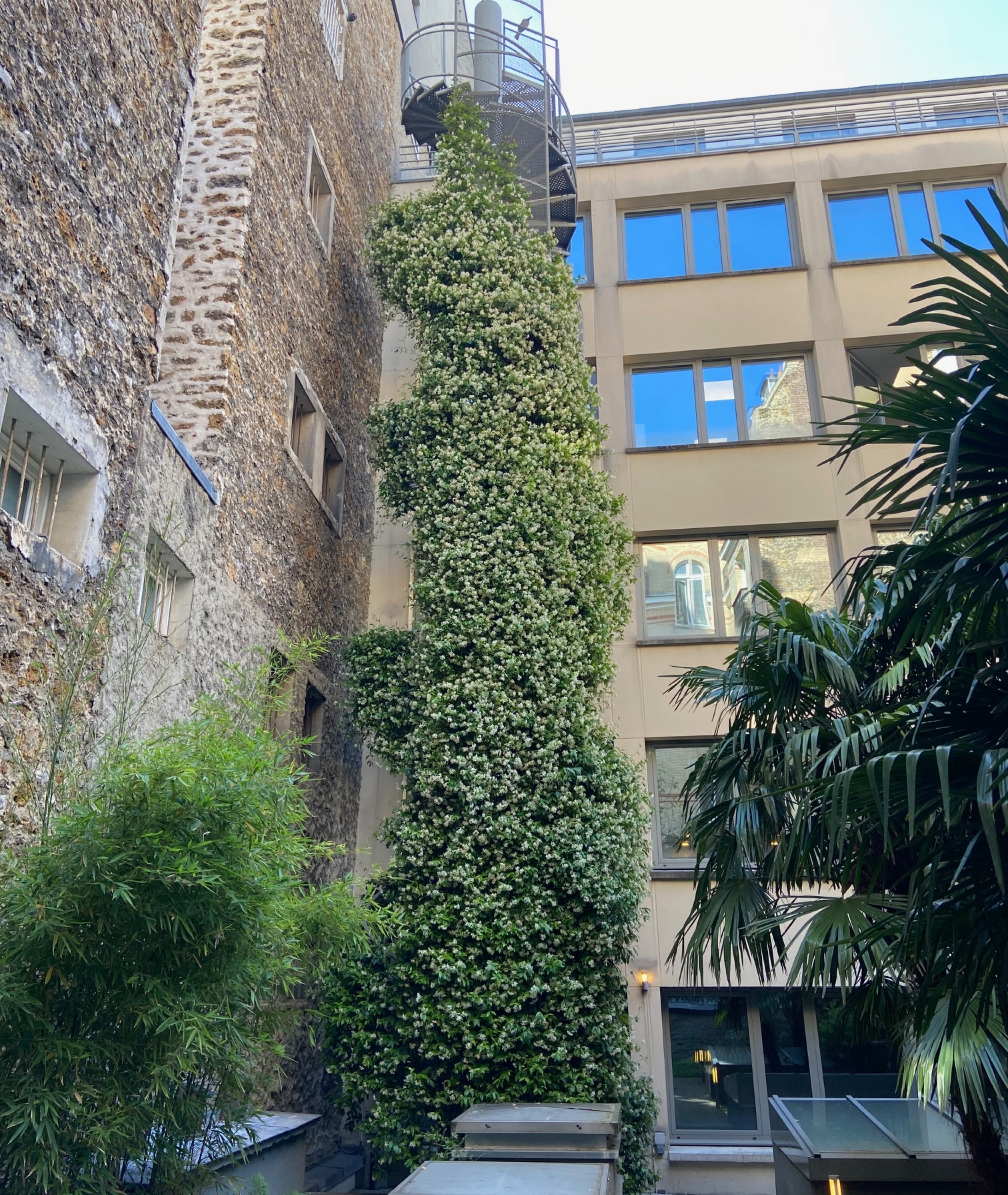 Central Neuilly